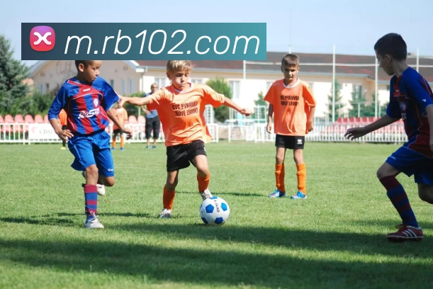 App Interface Preview