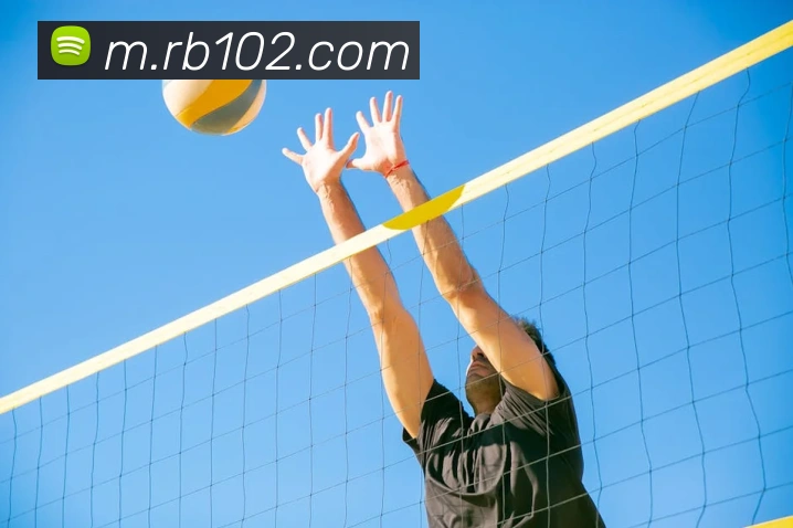 热博rb88APP 封面图